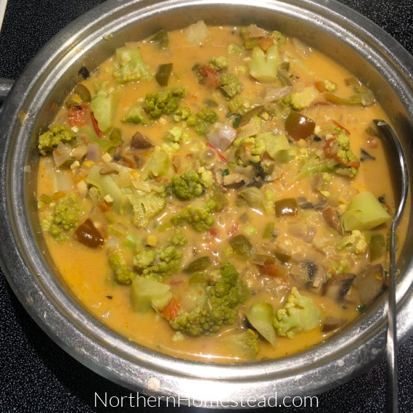 Summer Vegetable Curry Recipe Year Round