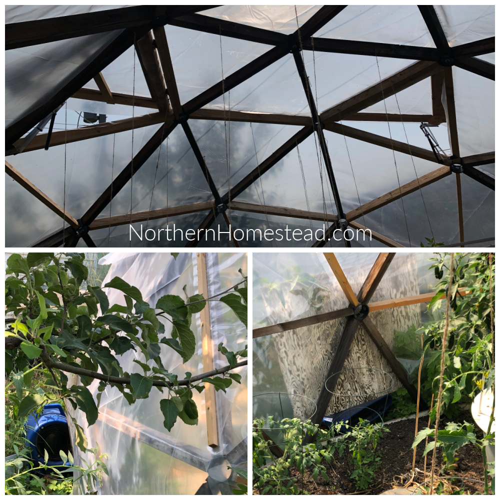 Ventilation for a Geodesic Dome Greenhouse