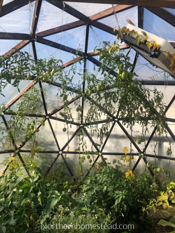 Yes or No to Ventilation in a Geodesic Dome Greenhouse