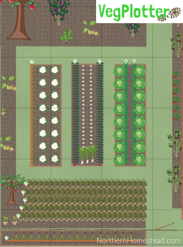 Planning the Vegetable Garden