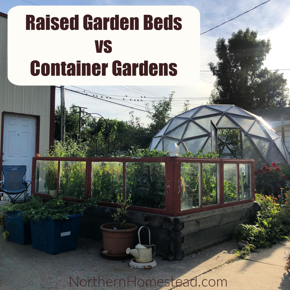 raised garden beds vs container gardens