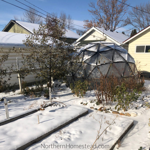 No-dig or double dig? - Northern Homestead