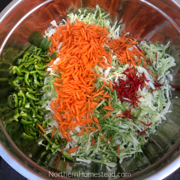 Make ahead, overnight coleslaw recipe