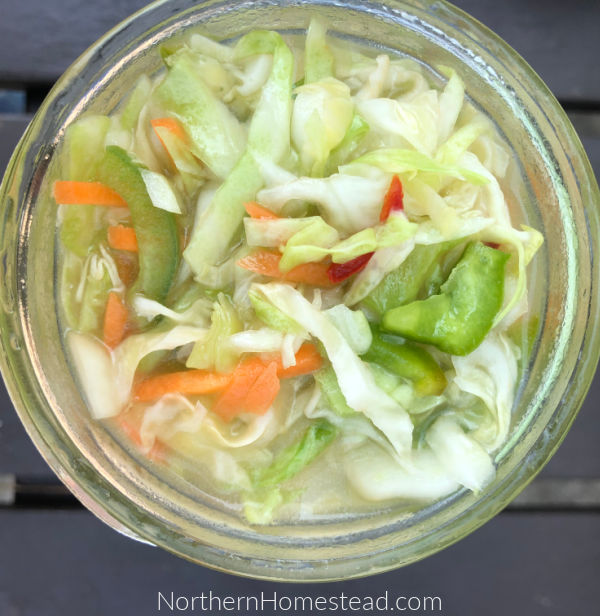 Make ahead, overnight coleslaw recipe