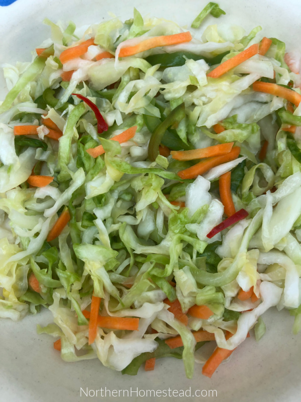 Make ahead, overnight coleslaw recipe