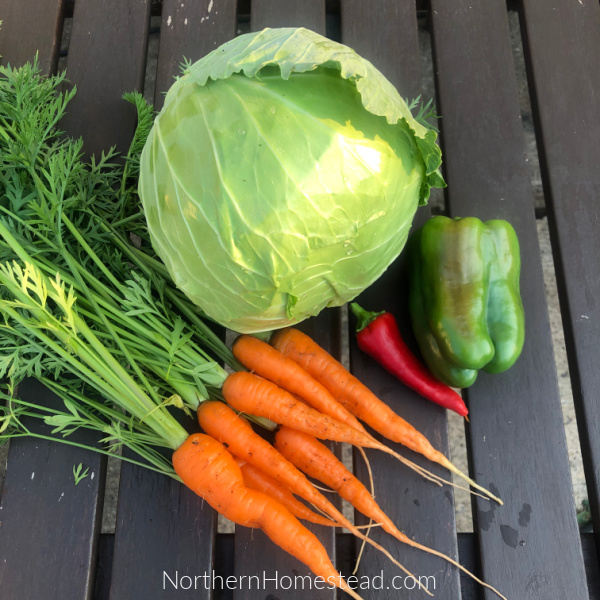 Make ahead, overnight coleslaw recipe