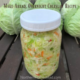 Make ahead, overnight coleslaw recipe