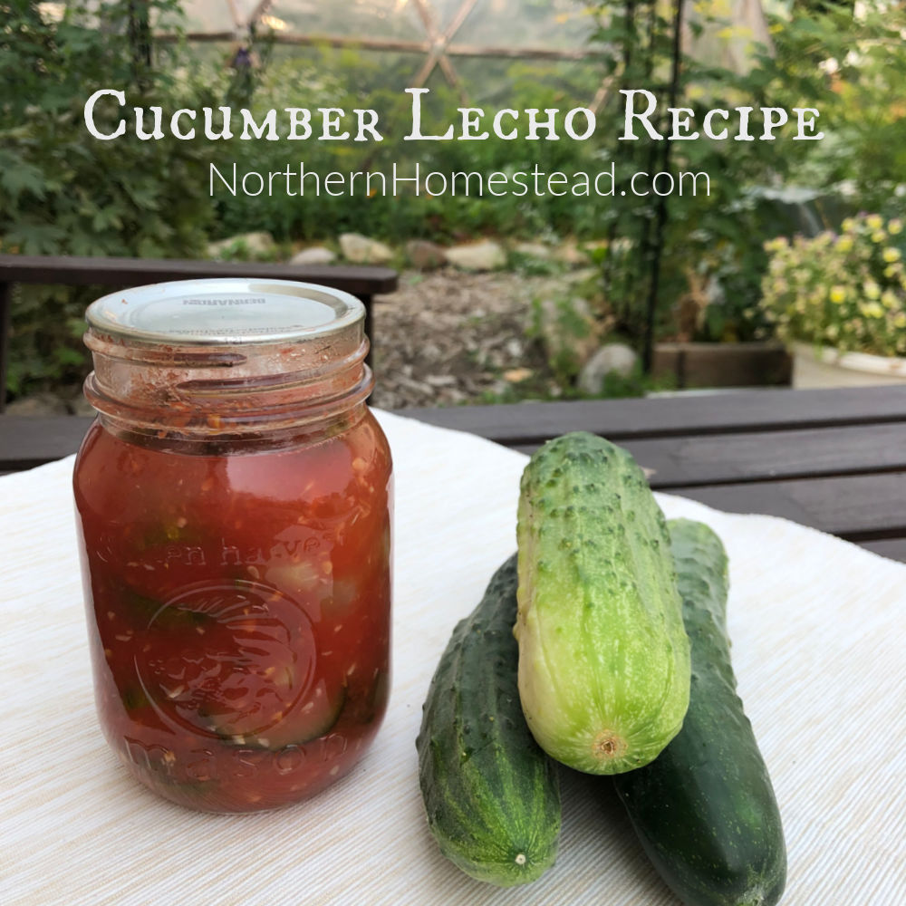 Canned Cucumber Lecho Recipe