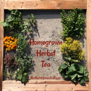 Homegrown Herbal Tea