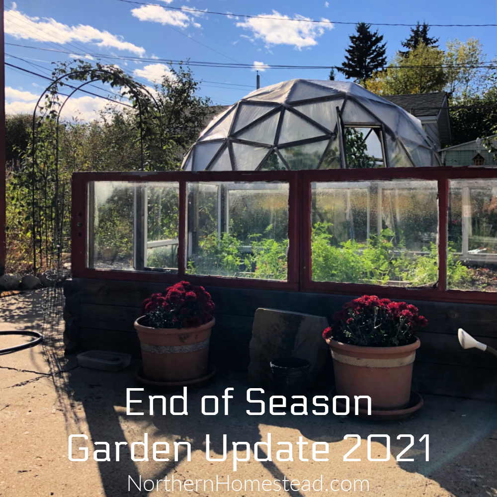 End of Season Garden Update 2021