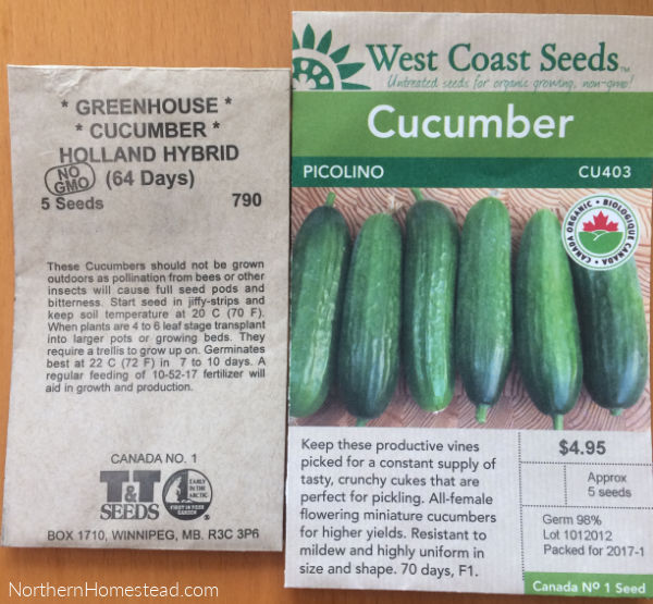 Growing Cucumbers Indoors