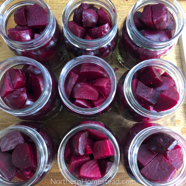 Pickled Beets Recipe