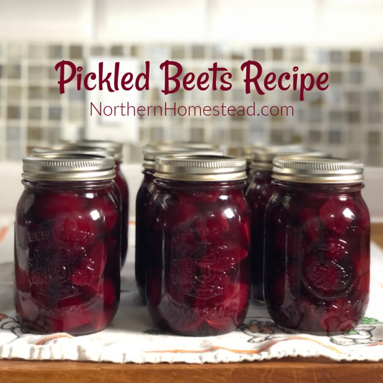 Pickled Beets Recipe Northern Homestead