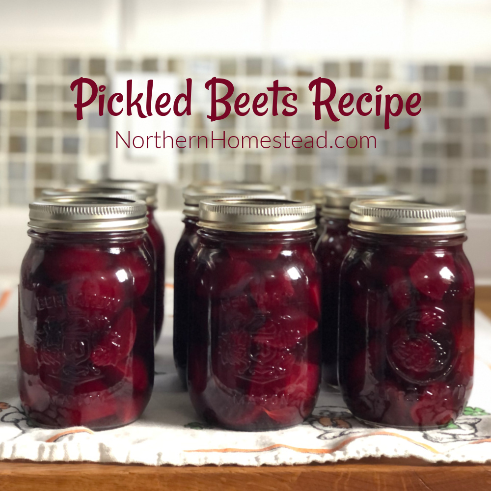 Canning beets instant discount pot