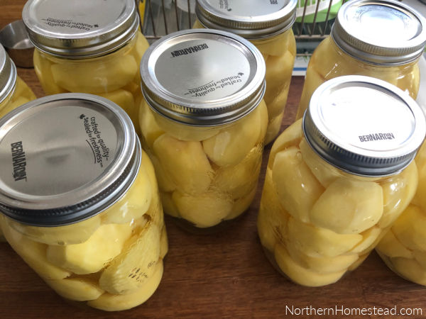 Pressure Canning Potatoes