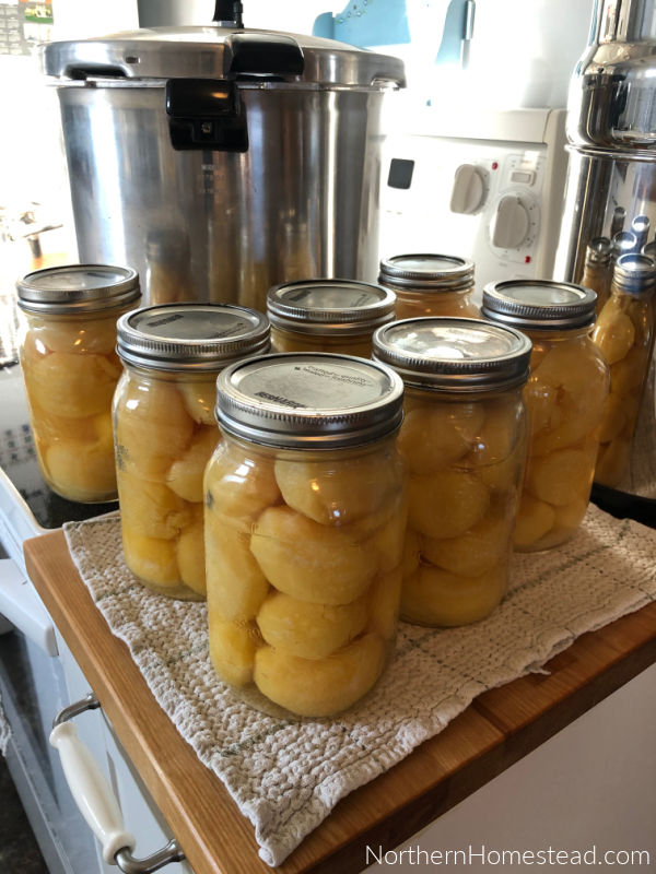 Pressure Canning Potatoes