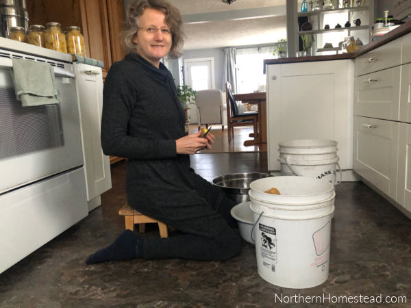 Pressure Canning Potatoes