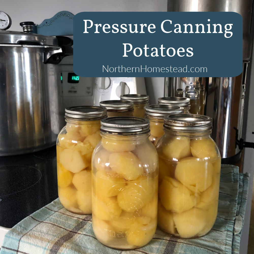 Pressure Canning Potatoes the Easy Raw Pack Method