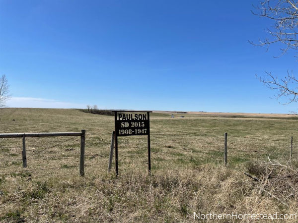 Our New Land to Build a Permaculture Property