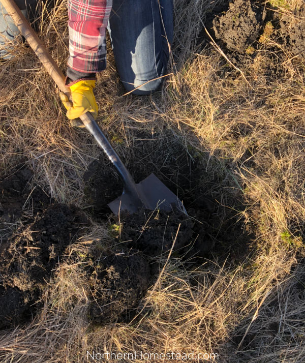 Our New Land to Build a Permaculture Property - Northern Homestead