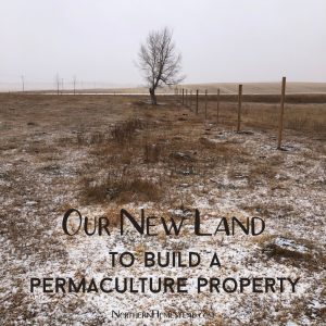 Our New Land to build a Permaculture Property