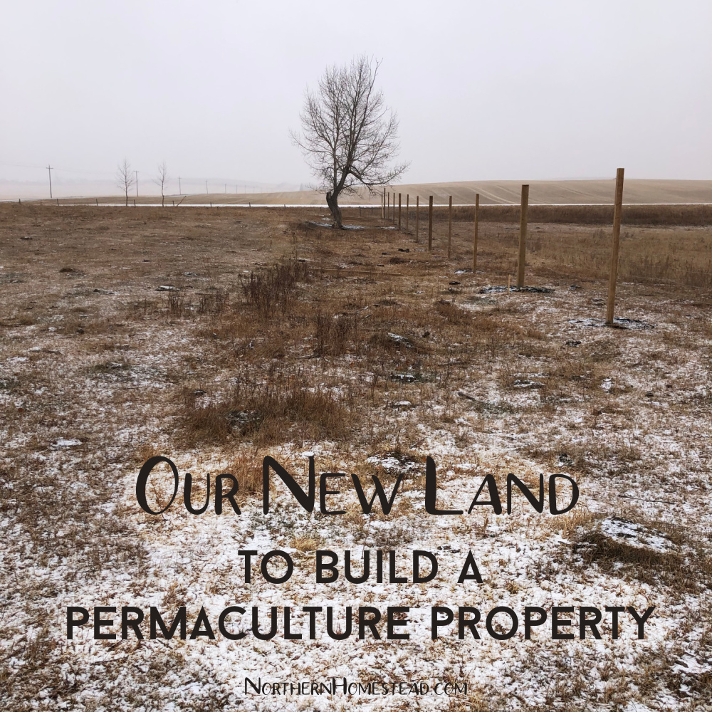 Our New Land to Build a Permaculture Property