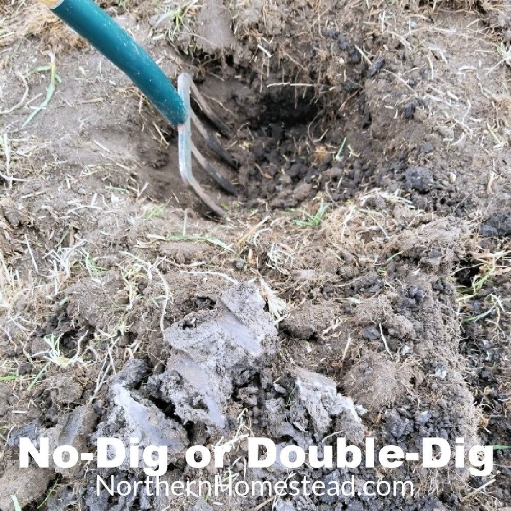 No-Dig or Double-Dig