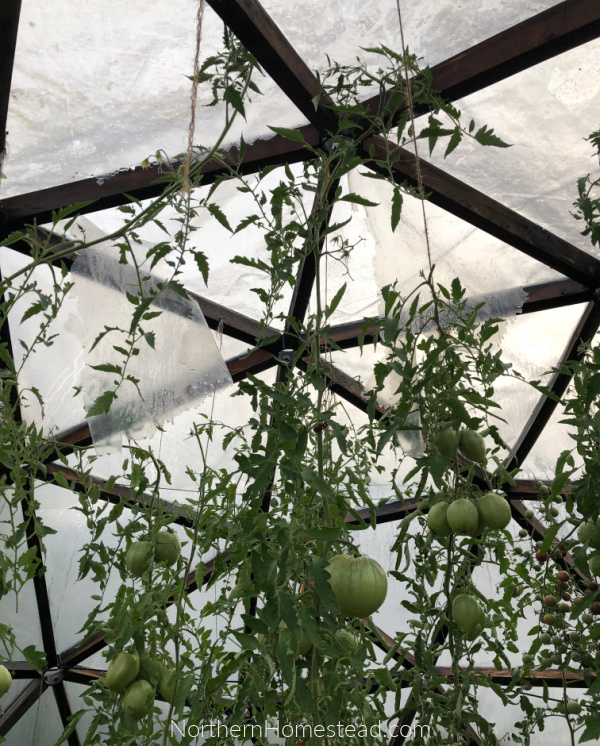 Hail damage in the geodesic dome