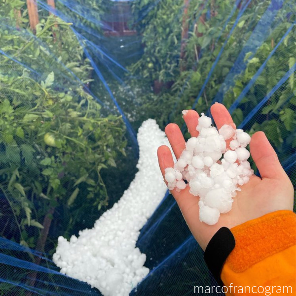 Gardening in the Hailstorm Alley