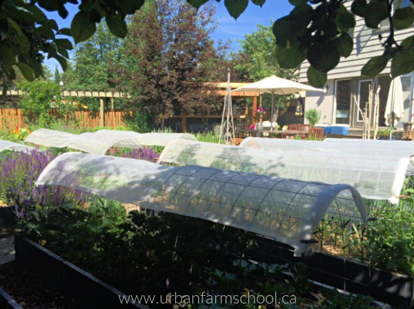 https://www.urbanfarmschool.ca/