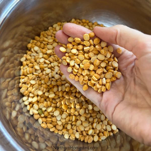 Yellow Split Pea Stew Recipe