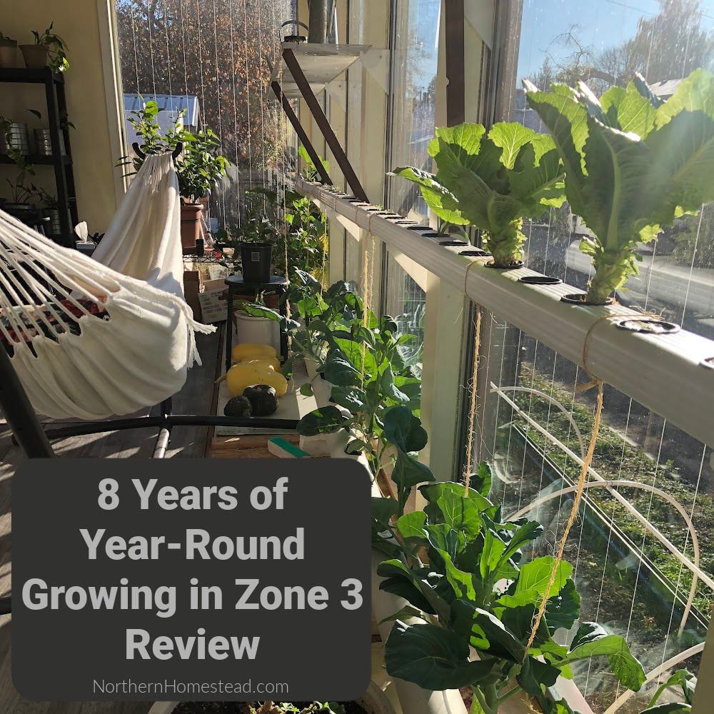 https://northernhomestead.com/wp-content/uploads/2022/05/8-Years-of-Year-Round-Growing-in-Zone-3-ReviewF.jpeg