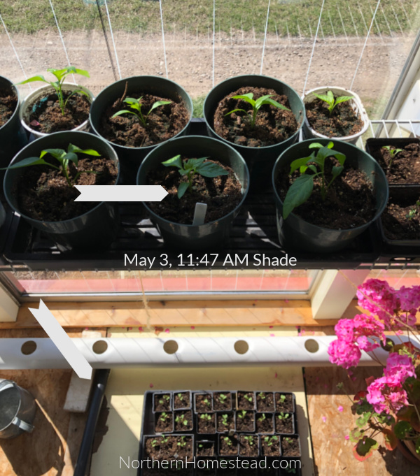 Four Season Greenhouse/Growing Room Review