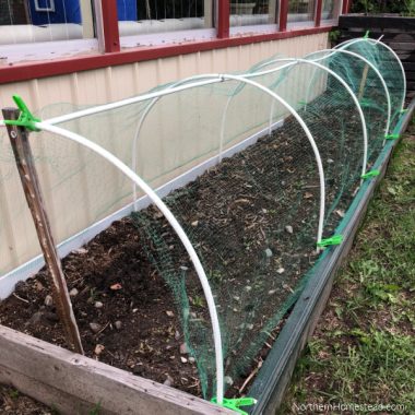 How to Make a Hoop Bed (Row Cover Tunnel) - Northern Homestead