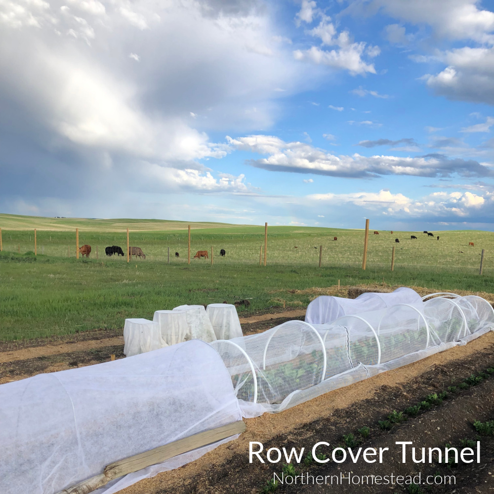 Row cover tunnel