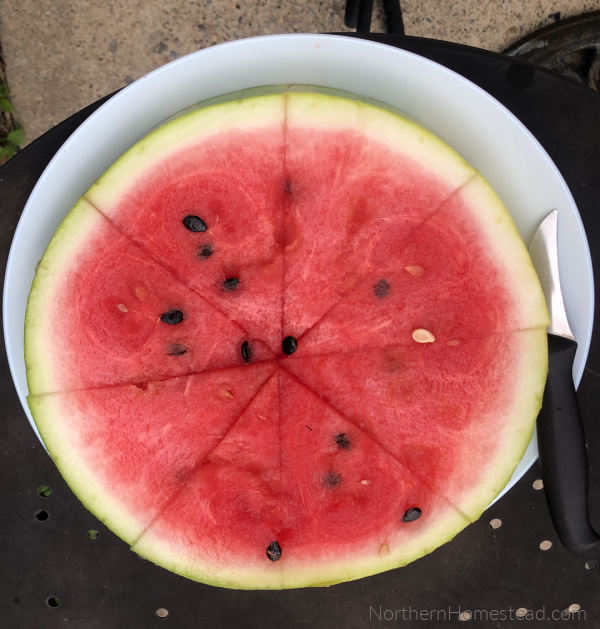 Fermented Watermelon Recipe