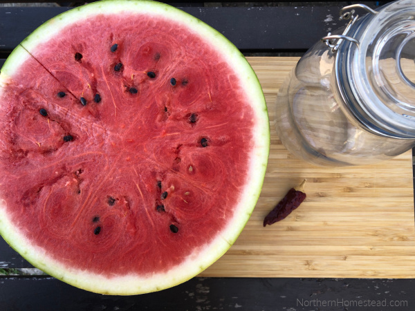 Fermented Watermelon Recipe