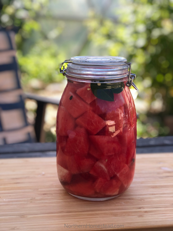 Fermented Watermelon Recipe