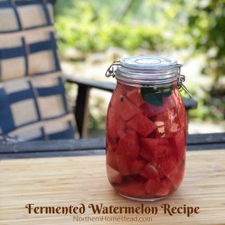 Fermented Watermelon Recipe