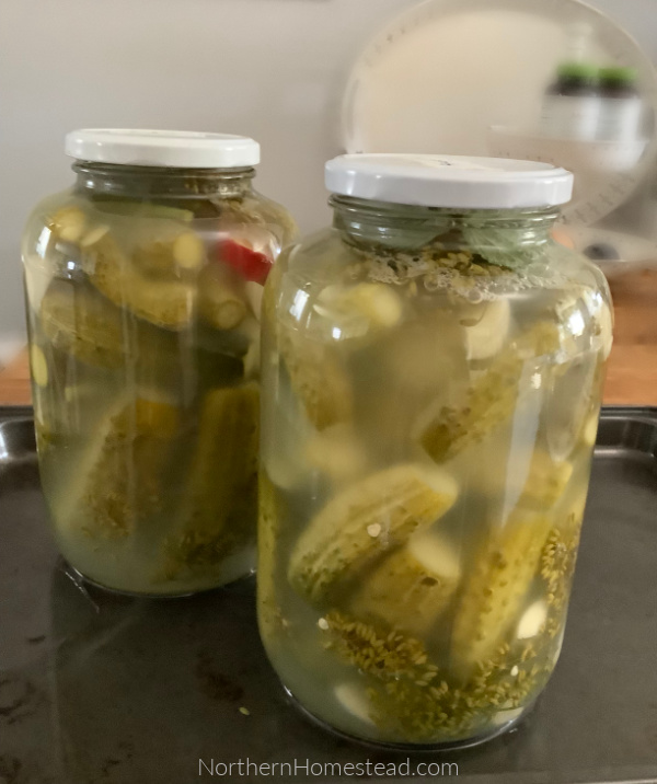 Fermented pickles for winter