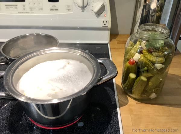 Fermented pickles for winter