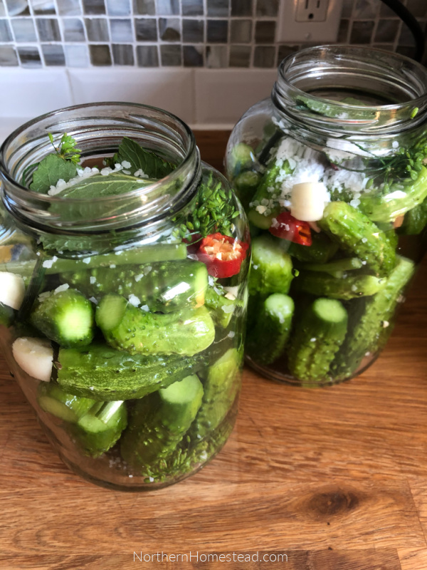 Fermented pickles for winter