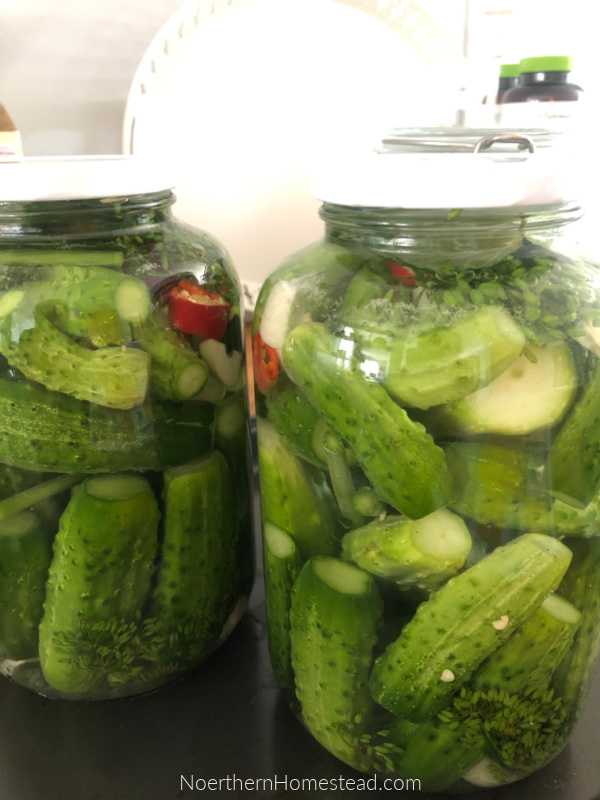 Fermented pickles for winter