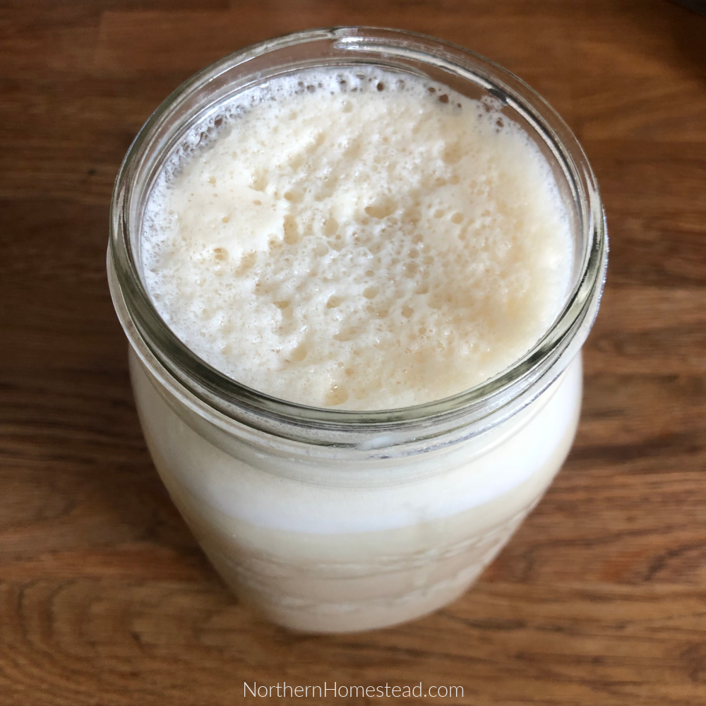 Whole bean home made soy milk recipe