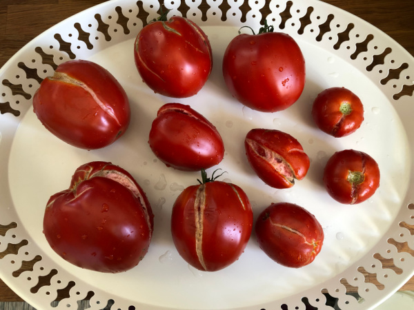 Freezing Raw Tomato Sauce