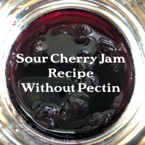 Sour Cherry Jam Recipe Without Pectin