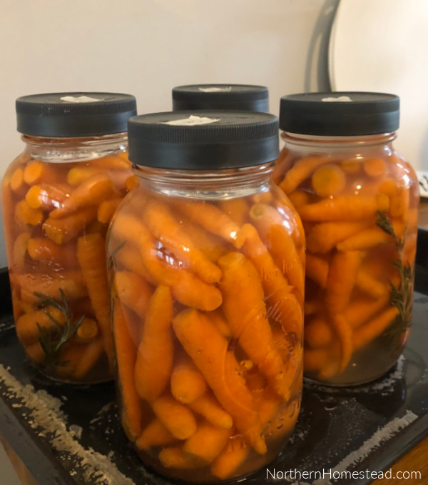 A Dozen Ways to Preserve Carrots