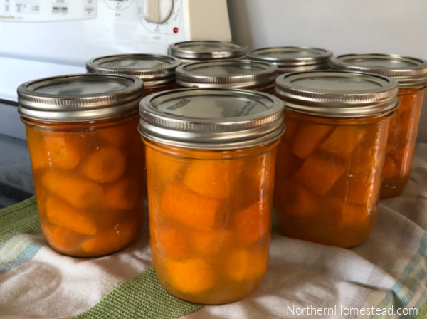 A Dozen Ways to Preserve Carrots