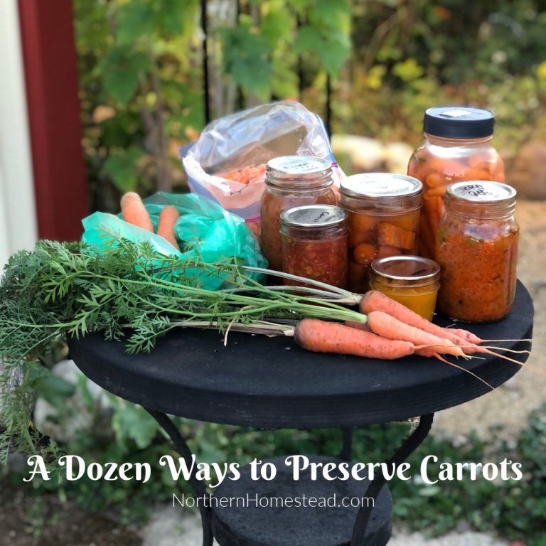 A Dozen Ways to Preserve Carrots Northern Homestead