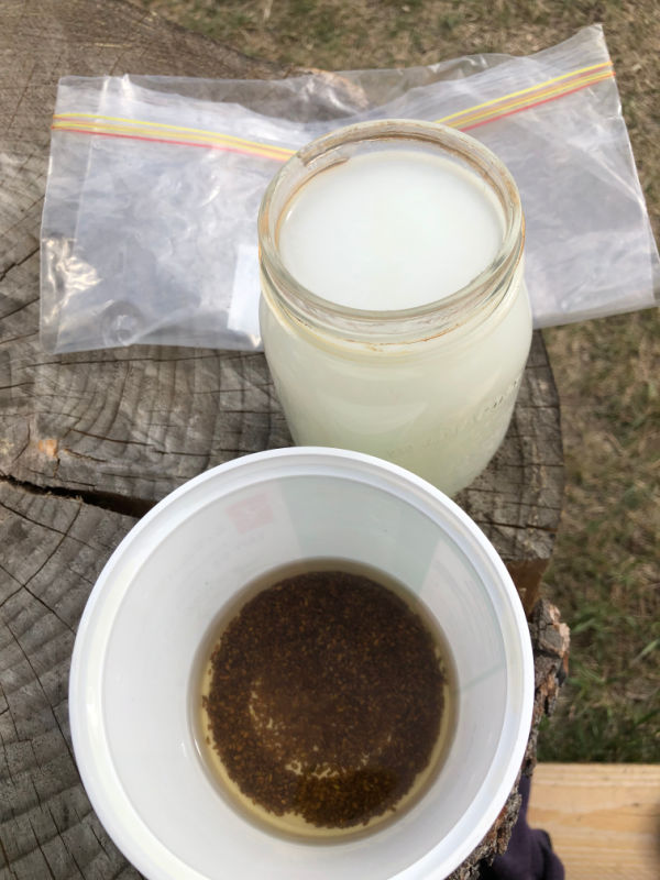 Sowing Carrots in Cornstarch